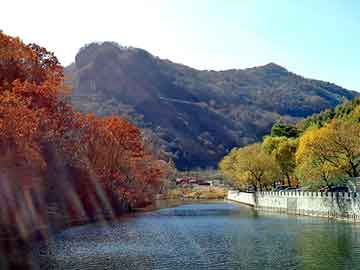 新澳天天开奖资料大全旅游团，夏利n5发动机